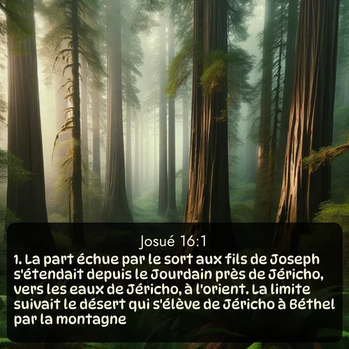 Segond Josué  ; image nature: image avec le verset biblique :La part échue par le sort aux fils de Joseph s&#039;étendait depuis le Jourdain près de Jéricho, vers les eaux de Jéricho, à l&#039;orient. La limite suivait le désert qui s&#039;élève de Jéricho à Béthel par la montagne. ;  ; 16:1