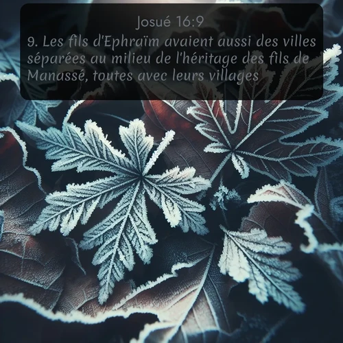 Segond Josué  ; image nature: image avec le verset biblique :Les fils d&#039;Ephraïm avaient aussi des villes séparées au milieu de l&#039;héritage des fils de Manassé, toutes avec leurs villages. ;  ; 16:9