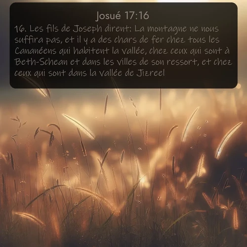 Segond Josué  ; image nature: image avec le verset biblique :Les fils de Joseph dirent: La montagne ne nous suffira pas, et il y a des chars de fer chez tous les Cananéens qui habitent la vallée, chez ceux qui sont à Beth-Schean et dans les villes de son ressort, et chez ceux qui sont dans la vallée de Jizreel. ;  ; 17:16