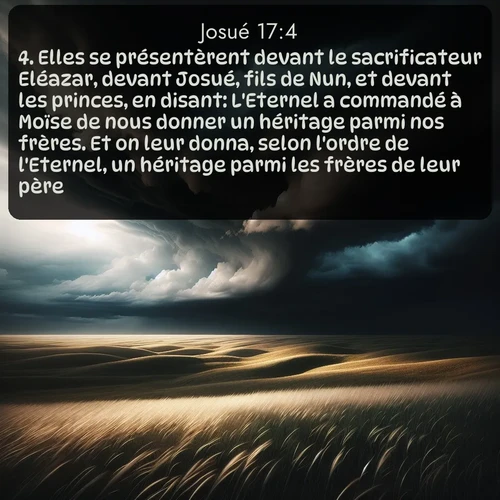 Segond Josué  ; image nature: image avec le verset biblique :Elles se présentèrent devant le sacrificateur Eléazar, devant Josué, fils de Nun, et devant les princes, en disant: L&#039;Eternel a commandé à Moïse de nous donner un héritage parmi nos frères. Et on leur donna, selon l&#039;ordre de l&#039;Eternel, un héritage parmi les frères de leur père. ;  ; 17:4