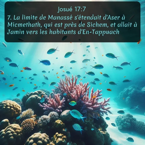 Segond Josué  ; image nature: image avec le verset biblique :La limite de Manassé s&#039;étendait d&#039;Aser à Micmethath, qui est près de Sichem, et allait à Jamin vers les habitants d&#039;En-Tappuach. ;  ; 17:7