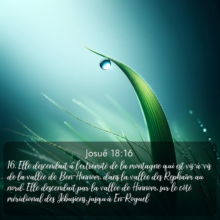 Segond Josué 18:16