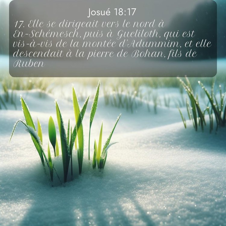 image nature avec verset biblique de la Bible