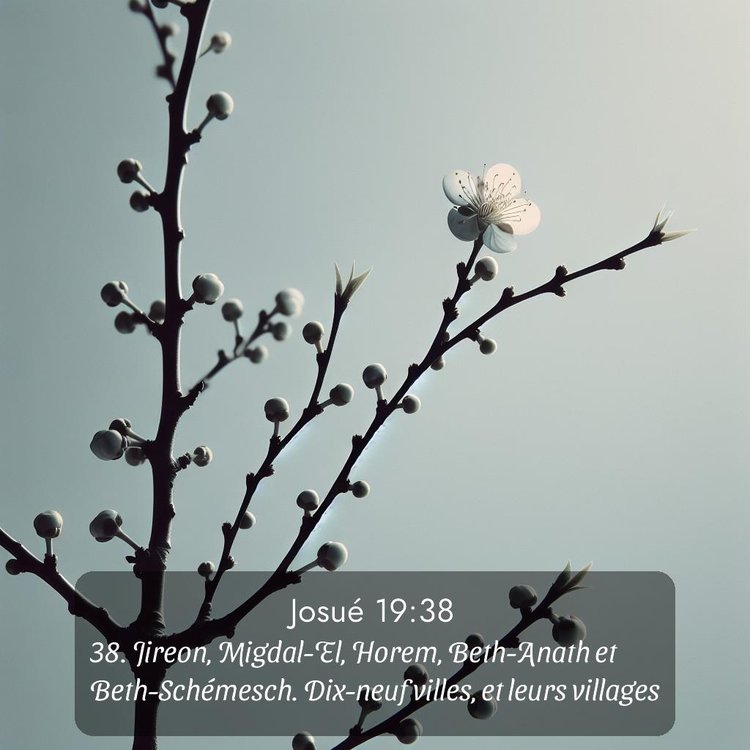 image nature avec verset biblique de la Bible