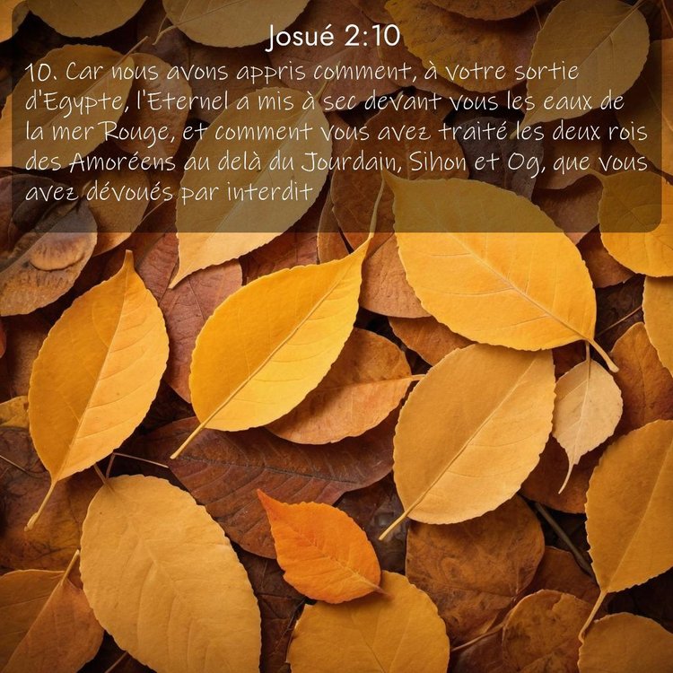 Segond Josué 2:10