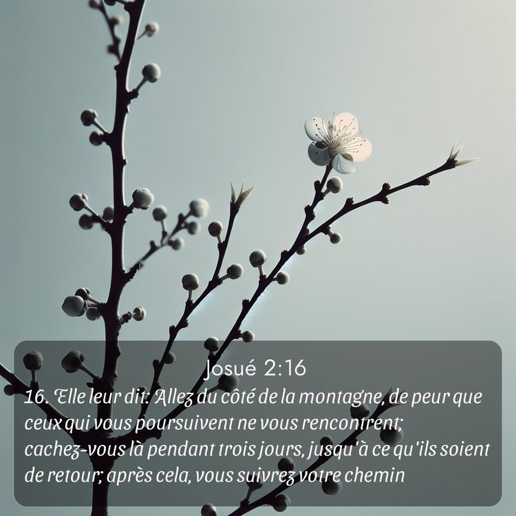 image nature avec verset biblique de la Bible