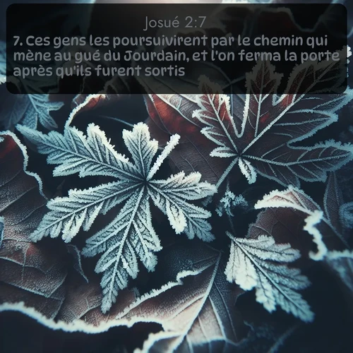 Segond Josué  ; image nature: image avec le verset biblique :Ces gens les poursuivirent par le chemin qui mène au gué du Jourdain, et l&#039;on ferma la porte après qu&#039;ils furent sortis. ;  ; 2:7