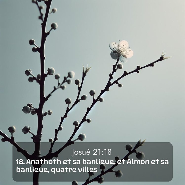 image nature avec verset biblique de la Bible