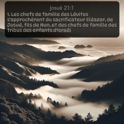 Segond Josué  ; image nature: image avec le verset biblique :Les chefs de famille des Lévites s&#039;approchèrent du sacrificateur Eléazar, de Josué, fils de Nun, et des chefs de famille des tribus des enfants d&#039;Israël. ;  ; 21:1