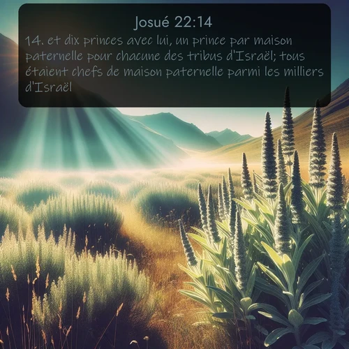 Segond Josué  ; image nature: image avec le verset biblique :et dix princes avec lui, un prince par maison paternelle pour chacune des tribus d&#039;Israël; tous étaient chefs de maison paternelle parmi les milliers d&#039;Israël. ;  ; 22:14