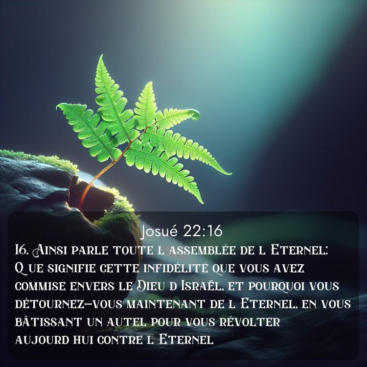 image nature avec verset biblique de la Bible