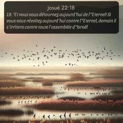 Segond Josué  ; image nature: image avec le verset biblique :Et vous vous détournez aujourd&#039;hui de l&#039;Eternel! Si vous vous révoltez aujourd&#039;hui contre l&#039;Eternel, demain il s&#039;irritera contre toute l&#039;assemblée d&#039;Israël. ;  ; 22:18