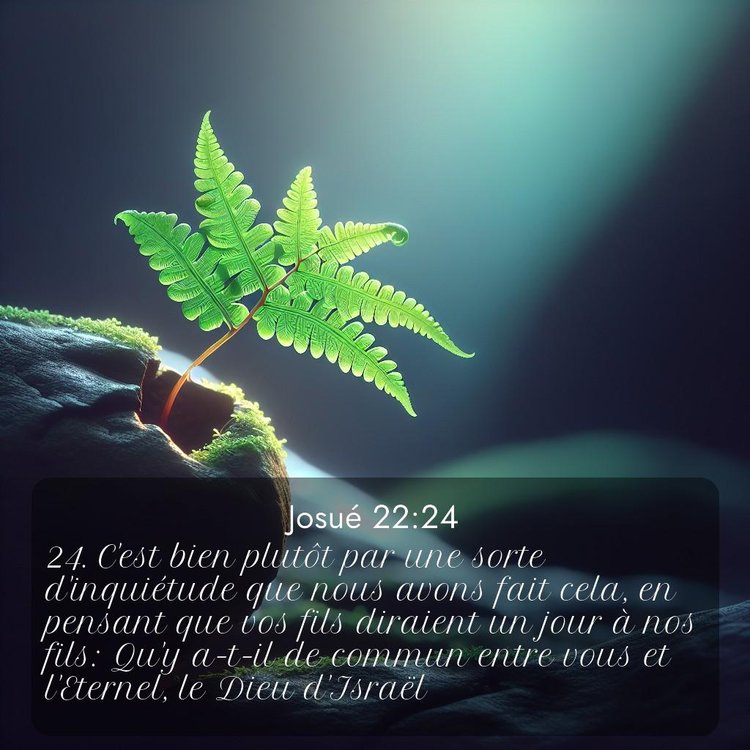 Segond Josué 22:24