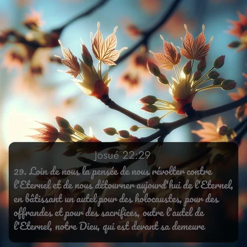 Segond Josué  ; image nature: image avec le verset biblique :Loin de nous la pensée de nous révolter contre l&#039;Eternel et de nous détourner aujourd&#039;hui de l&#039;Eternel, en bâtissant un autel pour des holocaustes, pour des offrandes et pour des sacrifices, outre l&#039;autel de l&#039;Eternel, notre Dieu, qui est devant sa demeure! ;  ; 22:29