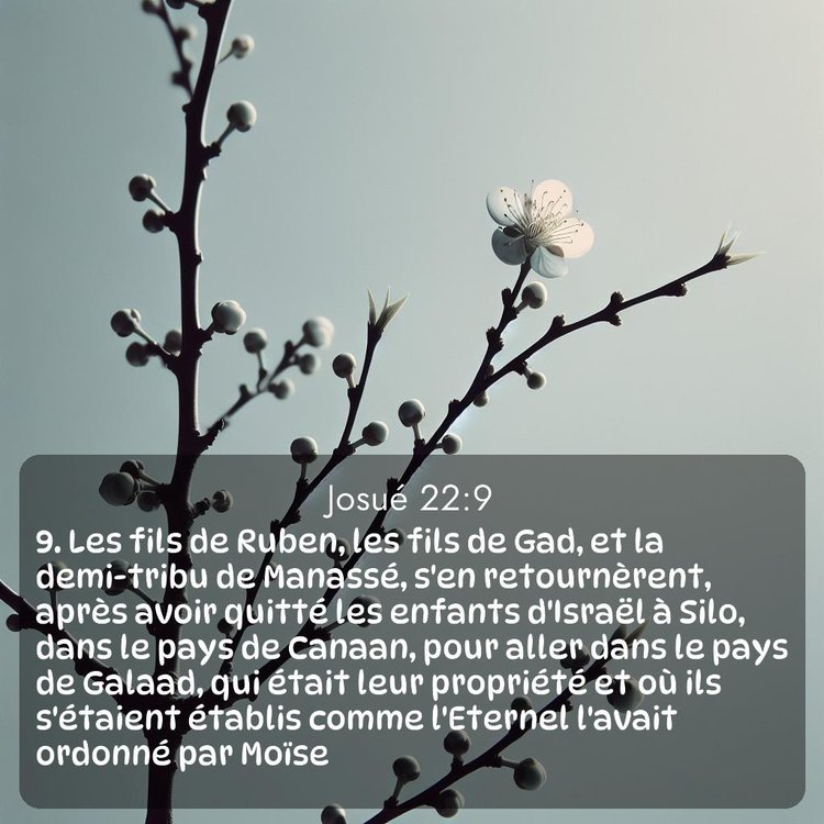 image nature avec verset biblique de la Bible