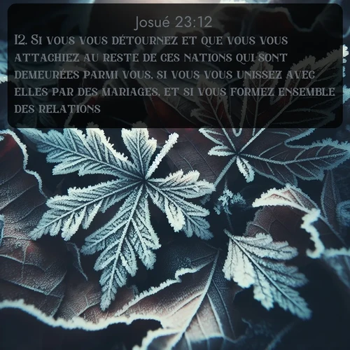 Segond Josué  ; image nature: image avec le verset biblique :Si vous vous détournez et que vous vous attachiez au reste de ces nations qui sont demeurées parmi vous, si vous vous unissez avec elles par des mariages, et si vous formez ensemble des relations, ;  ; 23:12