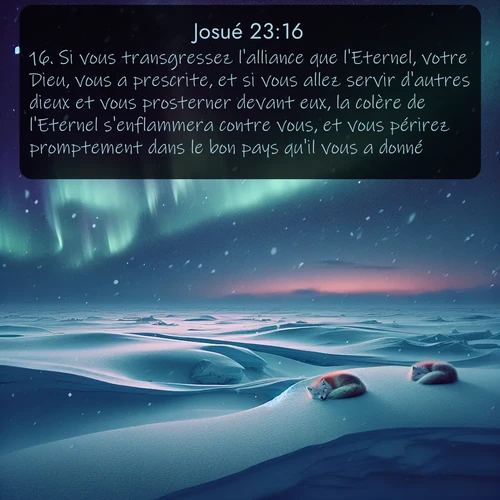 Segond Josué  ; image nature: image avec le verset biblique :Si vous transgressez l&#039;alliance que l&#039;Eternel, votre Dieu, vous a prescrite, et si vous allez servir d&#039;autres dieux et vous prosterner devant eux, la colère de l&#039;Eternel s&#039;enflammera contre vous, et vous périrez promptement dans le bon pays qu&#039;il vous a donné. ;  ; 23:16