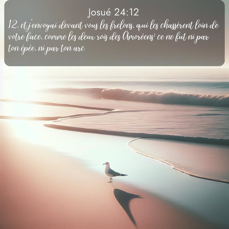 Segond Josué 24:12