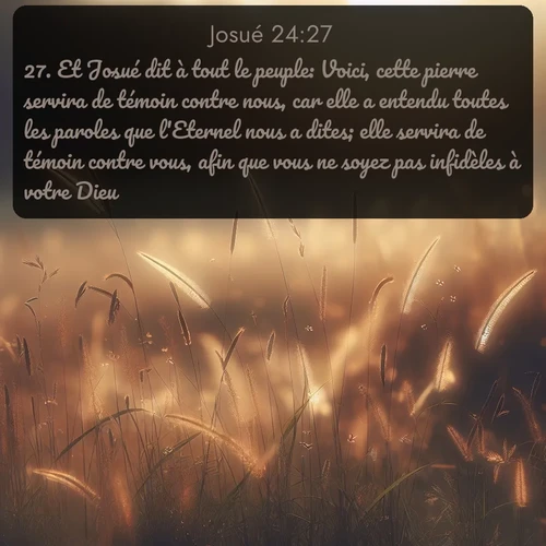 Segond Josué  ; image nature: image avec le verset biblique :Et Josué dit à tout le peuple: Voici, cette pierre servira de témoin contre nous, car elle a entendu toutes les paroles que l&#039;Eternel nous a dites; elle servira de témoin contre vous, afin que vous ne soyez pas infidèles à votre Dieu. ;  ; 24:27