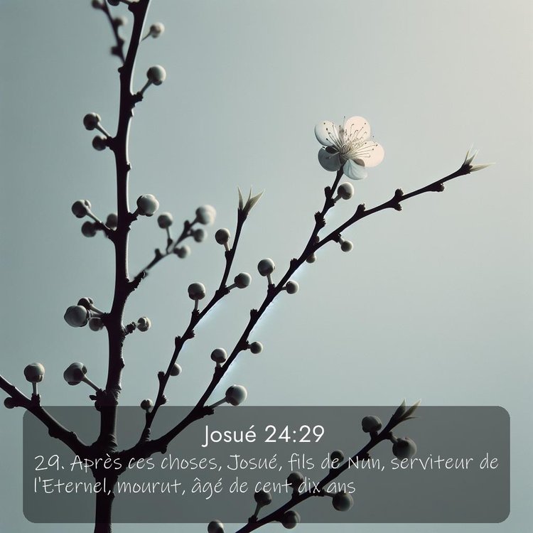 image nature avec verset biblique de la Bible