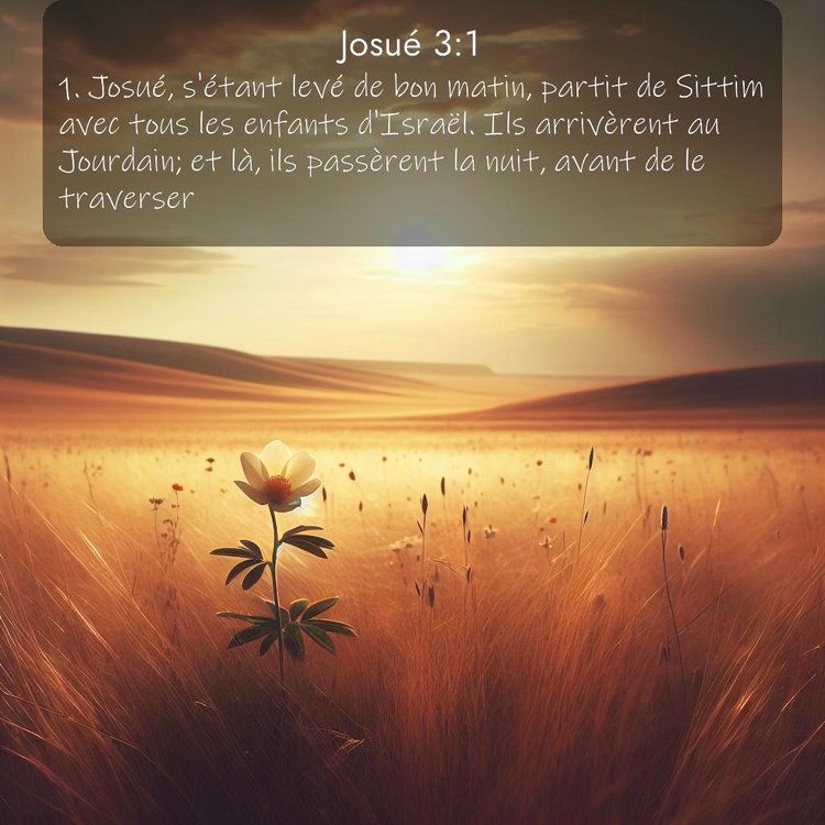 Segond Josué 3:1