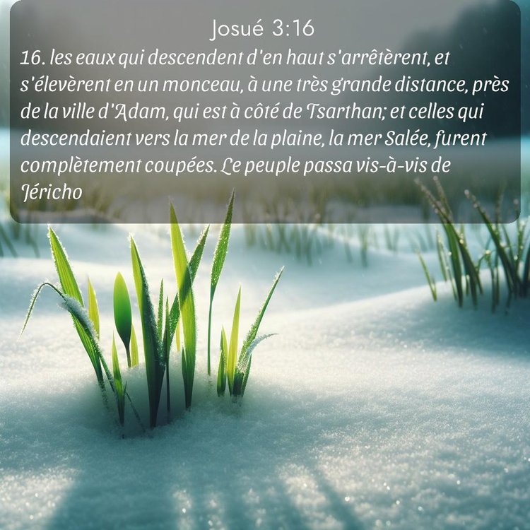 Segond Josué 3:16