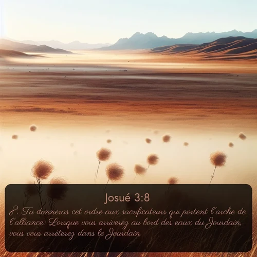 Segond Josué  ; image nature: image avec le verset biblique :Tu donneras cet ordre aux sacrificateurs qui portent l&#039;arche de l&#039;alliance: Lorsque vous arriverez au bord des eaux du Jourdain, vous vous arrêterez dans le Jourdain. ;  ; 3:8