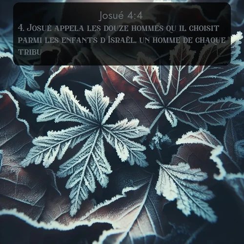 Segond Josué  ; image nature: image avec le verset biblique :Josué appela les douze hommes qu&#039;il choisit parmi les enfants d&#039;Israël, un homme de chaque tribu. ;  ; 4:4