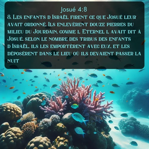 Segond Josué  ; image nature: image avec le verset biblique :Les enfants d&#039;Israël firent ce que Josué leur avait ordonné. Ils enlevèrent douze pierres du milieu du Jourdain, comme l&#039;Eternel l&#039;avait dit à Josué, selon le nombre des tribus des enfants d&#039;Israël, ils les emportèrent avec eux, et les déposèrent dans le lieu où ils devaient passer la nuit. ;  ; 4:8