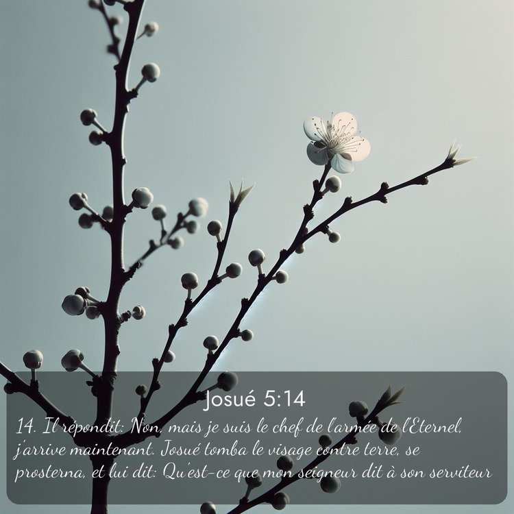 image nature avec verset biblique de la Bible