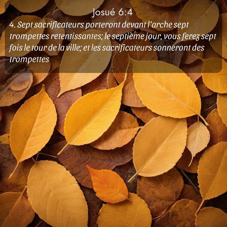 image nature avec verset biblique de la Bible