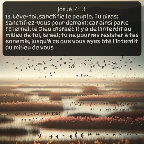 Segond Josué  ; image nature: image avec le verset biblique :Lève-toi, sanctifie le peuple. Tu diras: Sanctifiez-vous pour demain; car ainsi parle l&#039;Eternel, le Dieu d&#039;Israël: Il y a de l&#039;interdit au milieu de toi, Israël; tu ne pourras résister à tes ennemis, jusqu&#039;à ce que vous ayez ôté l&#039;interdit du milieu de vous. ;  ; 7:13
