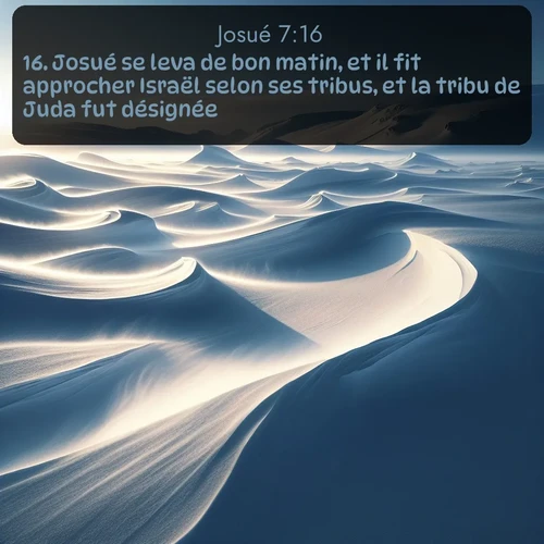 Segond Josué  ; image nature: image avec le verset biblique :Josué se leva de bon matin, et il fit approcher Israël selon ses tribus, et la tribu de Juda fut désignée. ;  ; 7:16