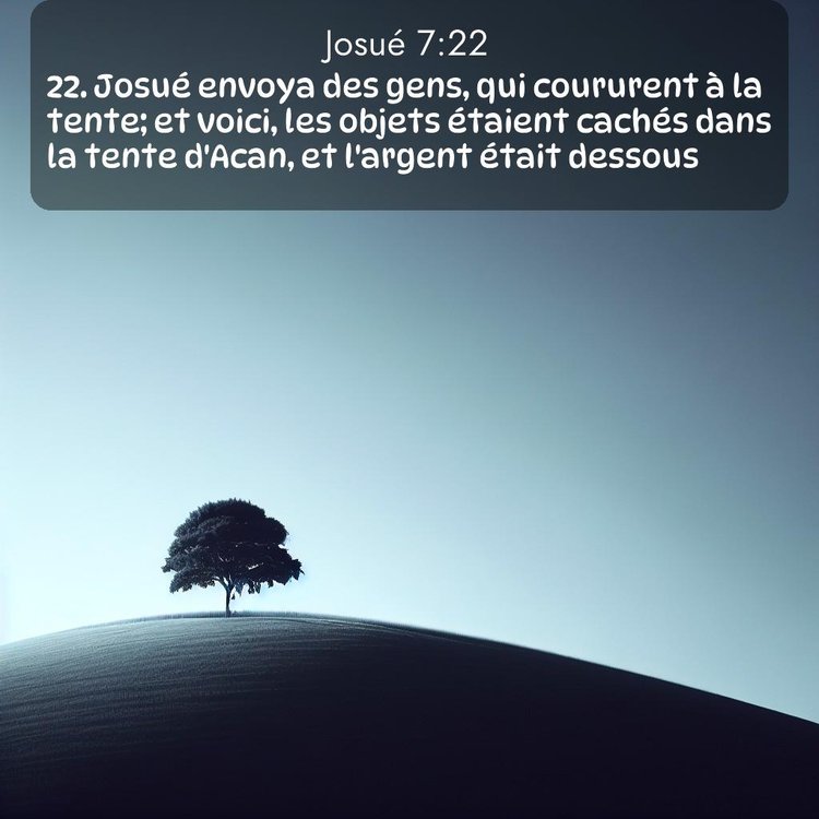 Segond Josué 7:22