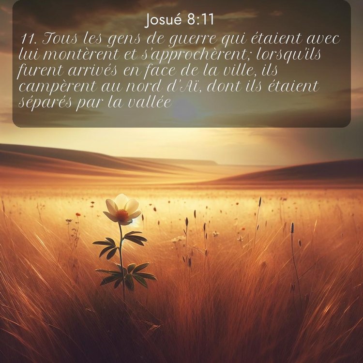 image nature avec verset biblique de la Bible