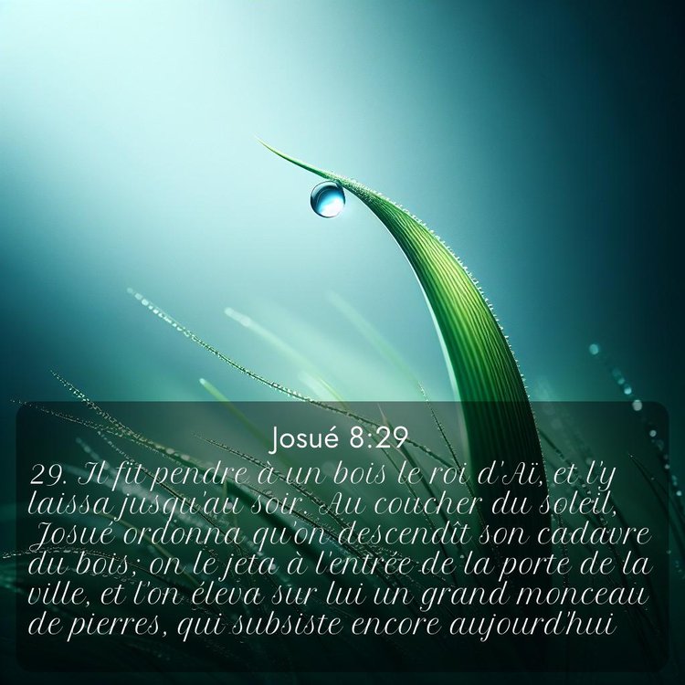 Segond Josué 8:29