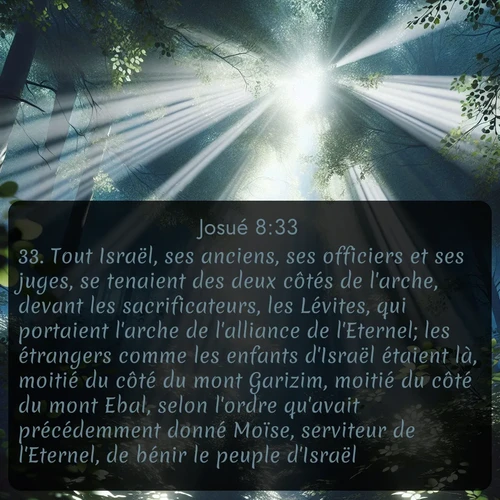 Segond Josué  ; image nature: image avec le verset biblique :Tout Israël, ses anciens, ses officiers et ses juges, se tenaient des deux côtés de l&#039;arche, devant les sacrificateurs, les Lévites, qui portaient l&#039;arche de l&#039;alliance de l&#039;Eternel; les étrangers comme les enfants d&#039;Israël étaient là, moitié du côté du mont Garizim, moitié du côté du mont Ebal, selon l&#039;ordre qu&#039;avait précédemment donné Moïse, serviteur de l&#039;Eternel, de bénir le peuple d&#039;Israël. ;  ; 8:33