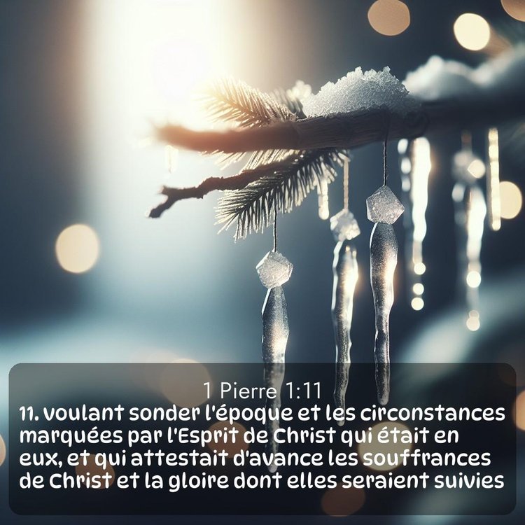 Segond 1 Pierre 1:11