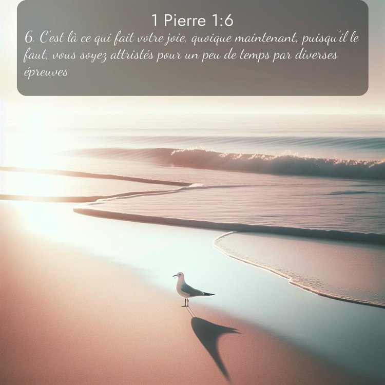 Segond 1 Pierre 1:6