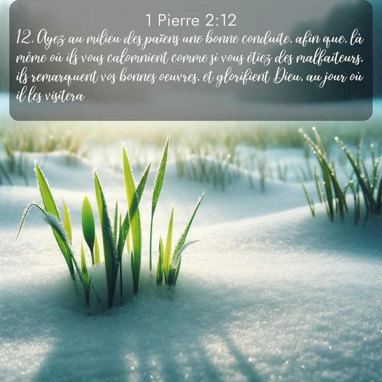 Segond 1 Pierre 2:12