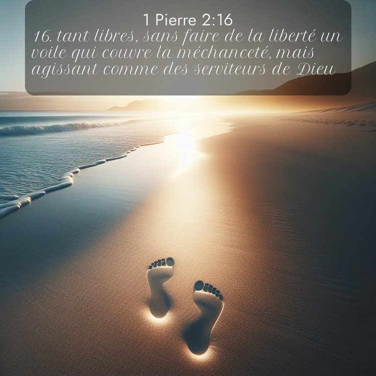 Segond 1 Pierre 2:16