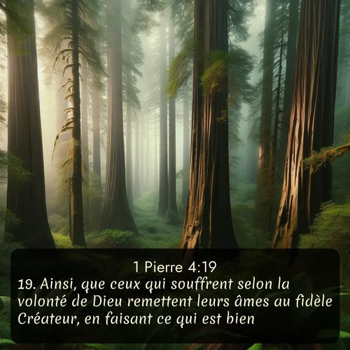 Segond 1 Pierre  ; image nature: image avec le verset biblique :Ainsi, que ceux qui souffrent selon la volonté de Dieu remettent leurs âmes au fidèle Créateur, en faisant ce qui est bien. ;  ; 4:19