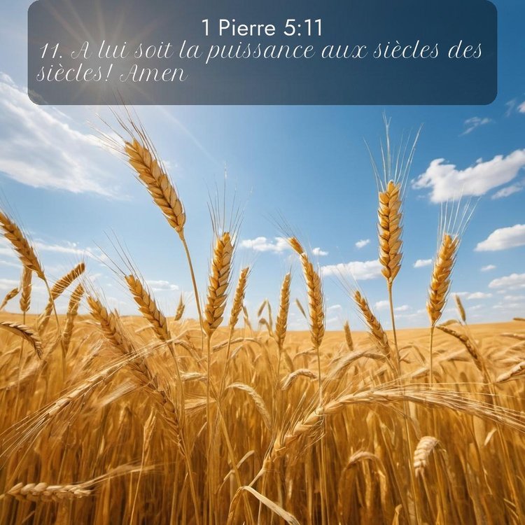 Segond 1 Pierre 5:11