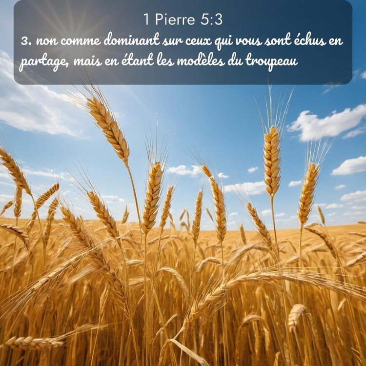 Segond 1 Pierre 5:3