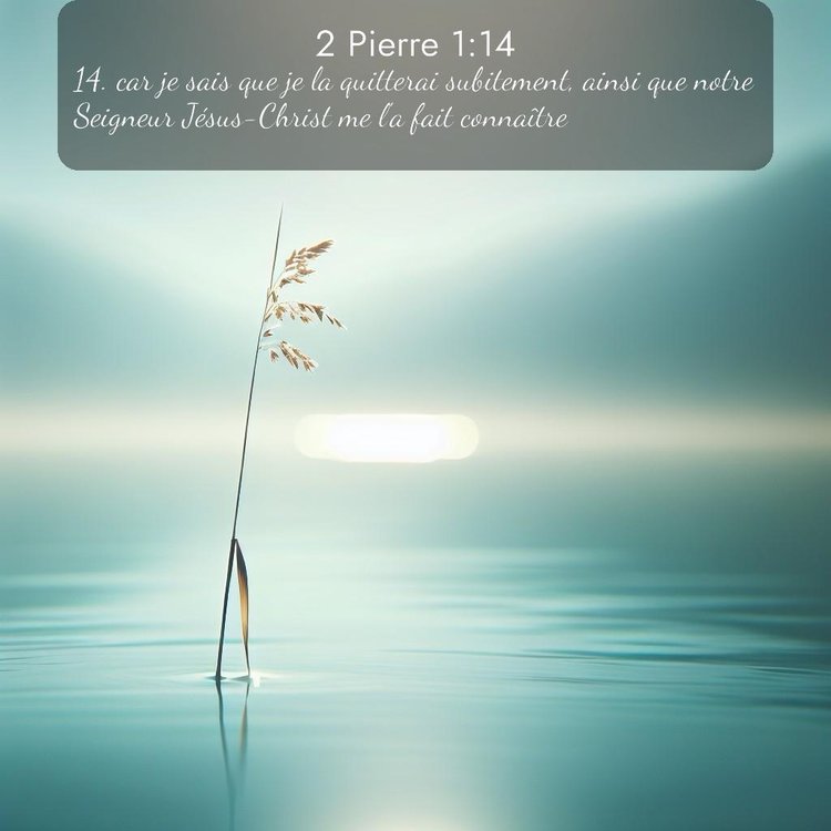 Segond 2 Pierre 1:14