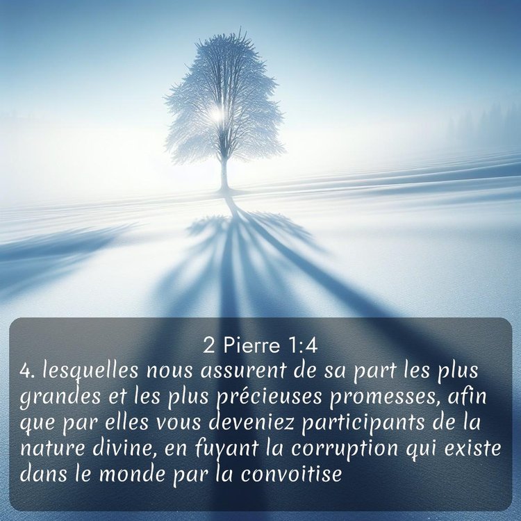 Segond 2 Pierre 1:4