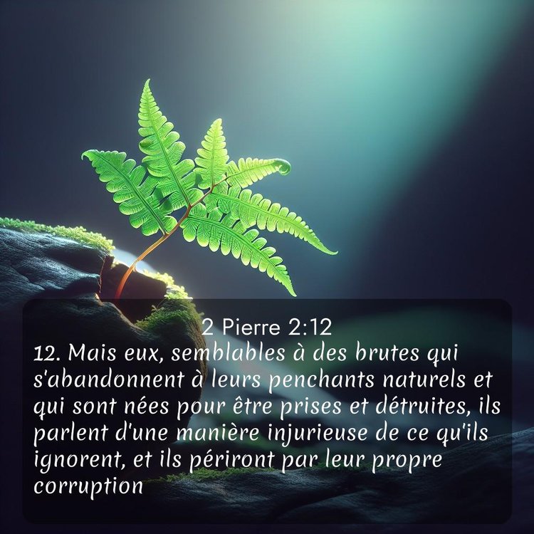 Segond 2 Pierre 2:12