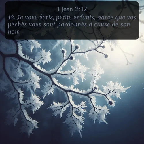 Segond 1 Jean  ; image nature: image avec le verset biblique :Je vous écris, petits enfants, parce que vos péchés vous sont pardonnés à cause de son nom. ;  ; 2:12