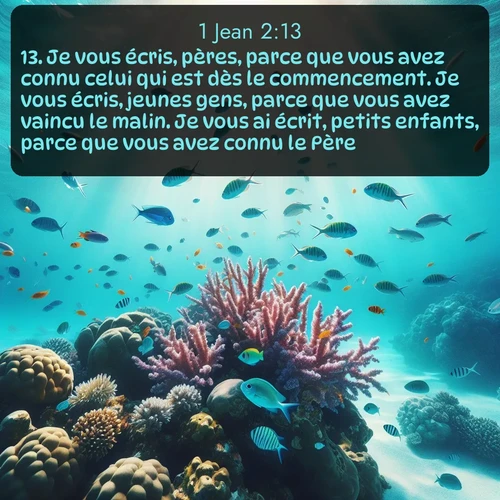 Segond 1 Jean  ; image nature: image avec le verset biblique :Je vous écris, pères, parce que vous avez connu celui qui est dès le commencement. Je vous écris, jeunes gens, parce que vous avez vaincu le malin. Je vous ai écrit, petits enfants, parce que vous avez connu le Père. ;  ; 2:13