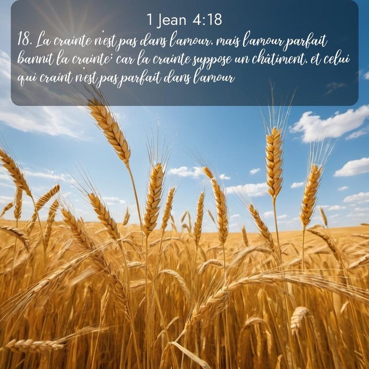 Segond 1 Jean 4:18